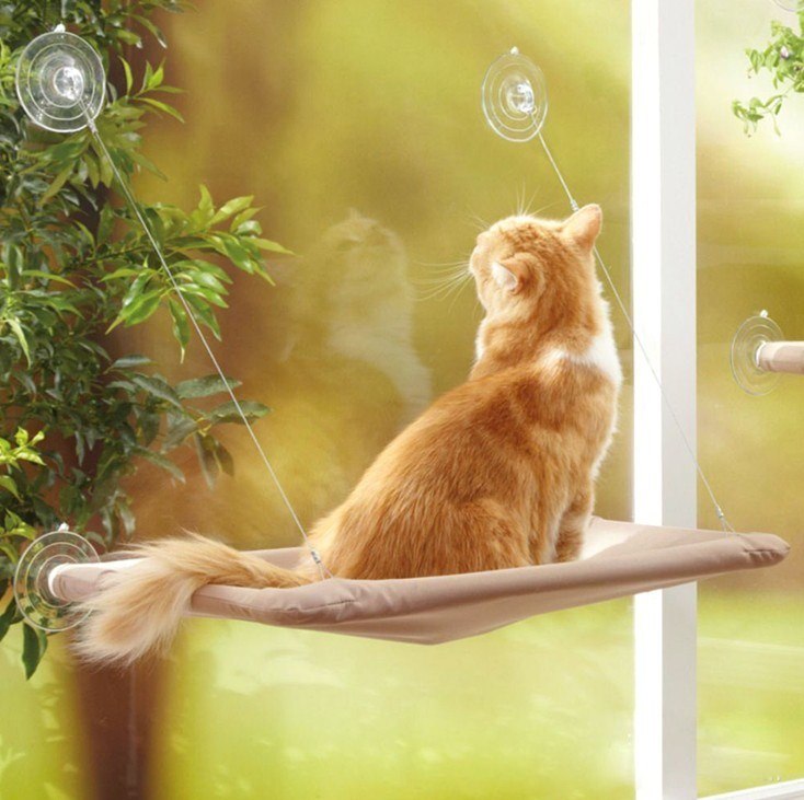 Suction Cup Cat Window Perch