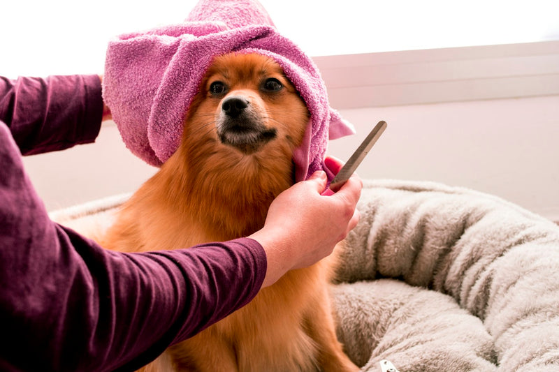 Grooming & Cleaning