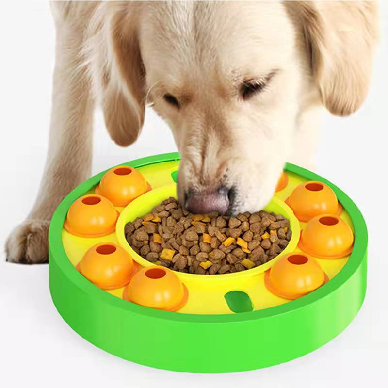 Roulette Puzzle Feeder for Dogs and Cats
