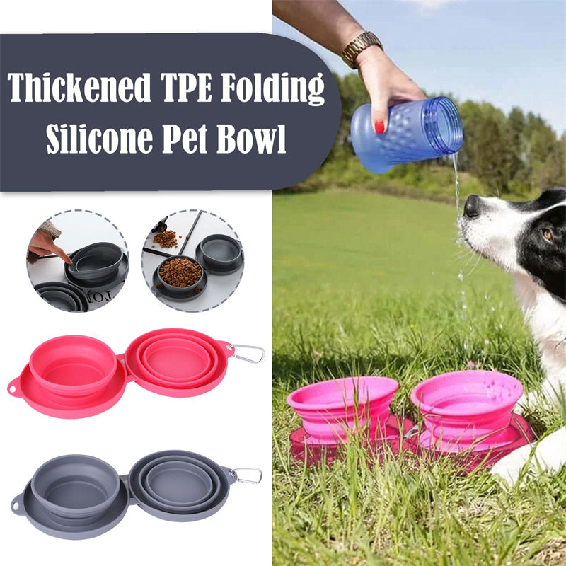 Collapsible Double Pet Bowl with Mat