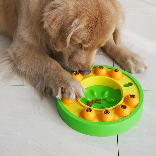 Roulette Puzzle Feeder for Dogs and Cats