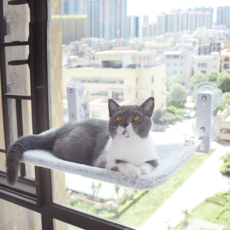 Window Cat Perch with Suction Cups