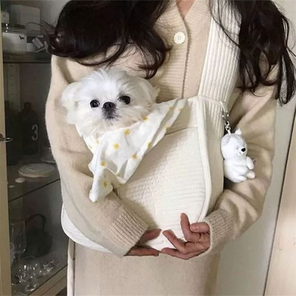 Canvas Pet Carrier Tote Bag