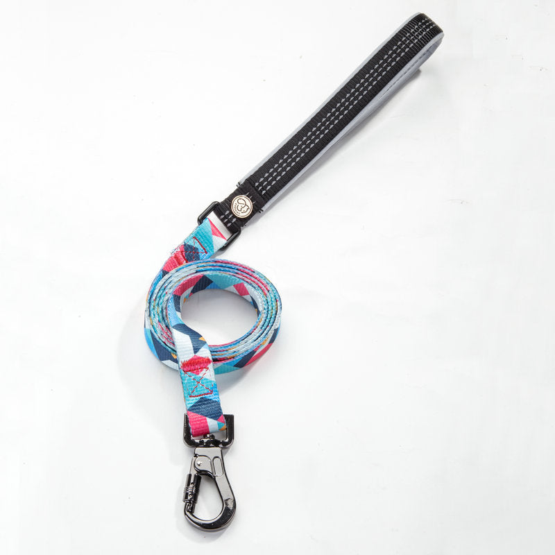 Printed Polyester Dog Leash