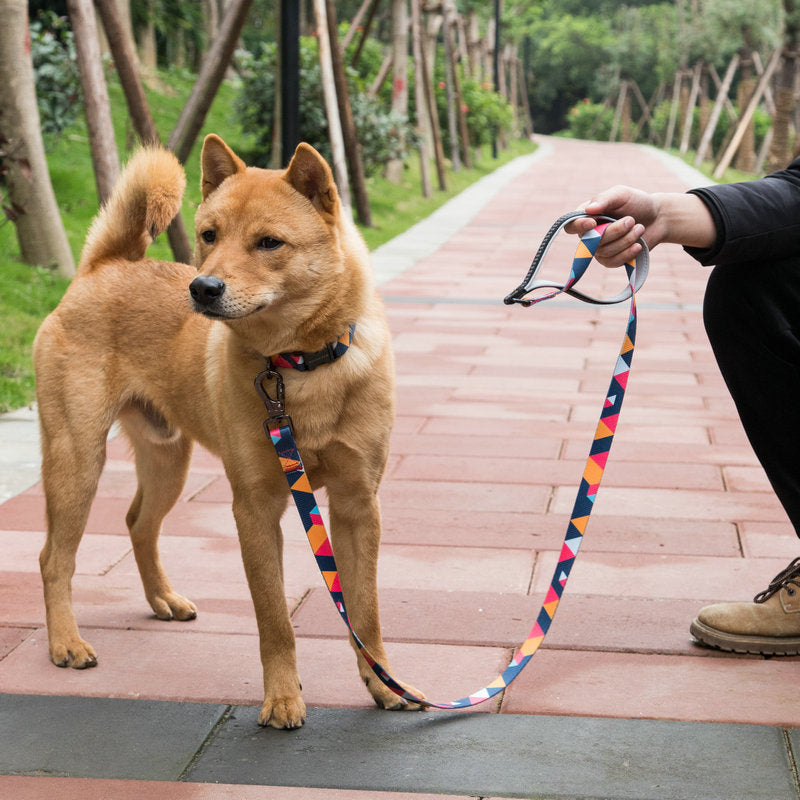 Printed Polyester Dog Leash