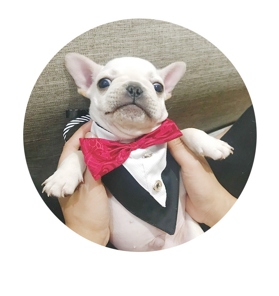 Printed Triangle Pet Bandana