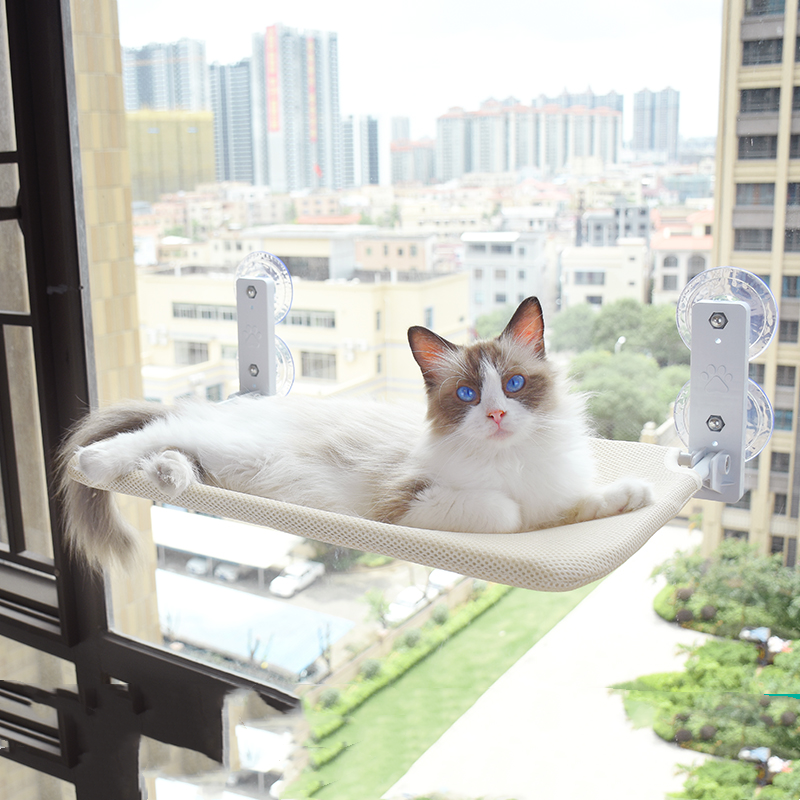 Window Cat Perch with Suction Cups