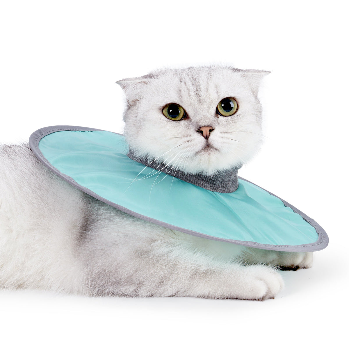 Soft Fabric Ring Cat Collar