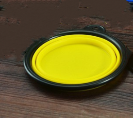 2-in-1 Water Bottle and Food Container