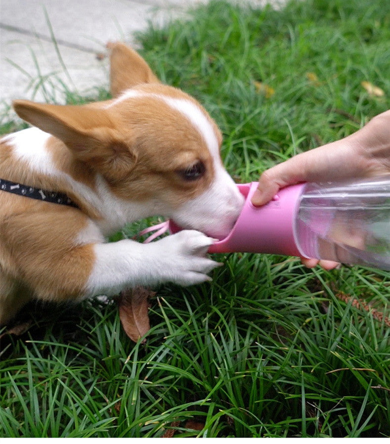 Clear Dog Travel Water Bottle