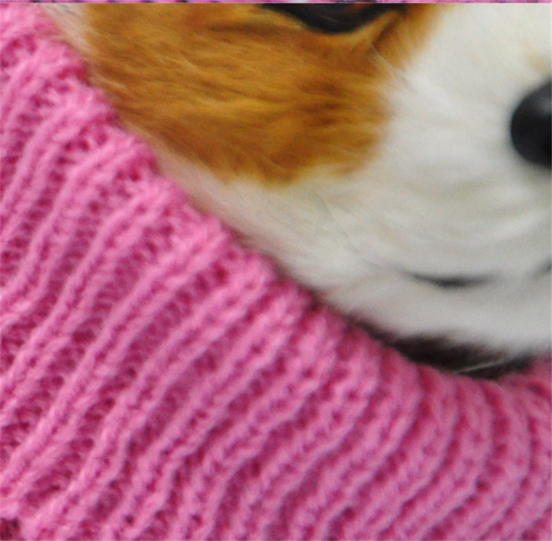 Acrylic Knit Sweater for Small Dogs
