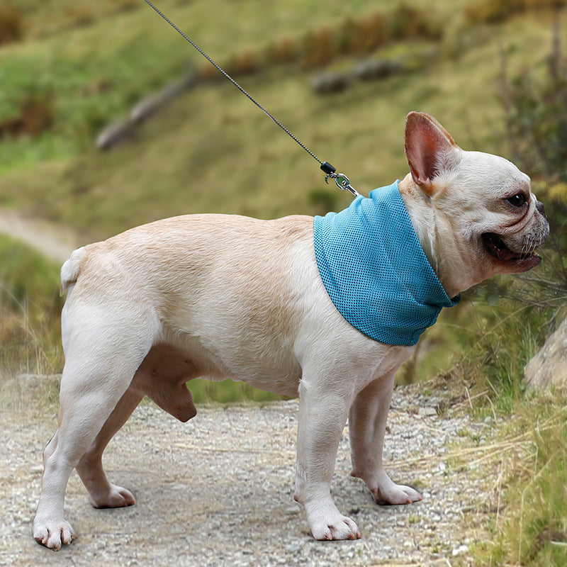 Cool-Feel Dog Bandana Collar