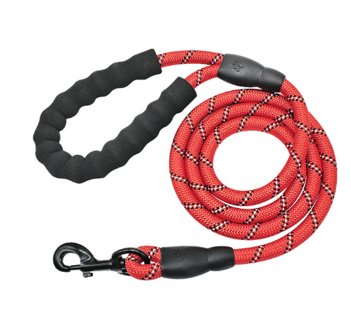Reflective Nylon Dog Leash - Red