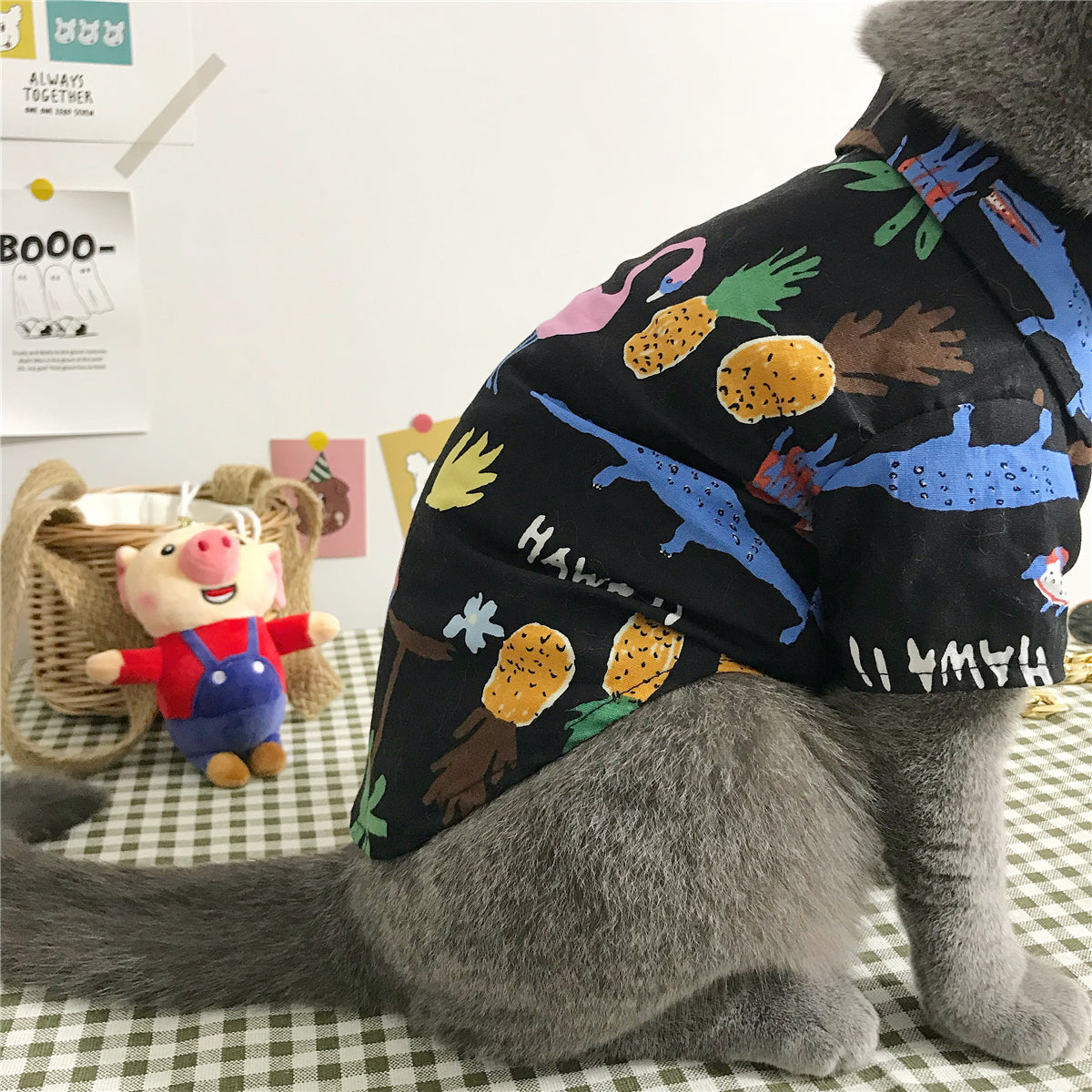 Summer Cat Shirt with Accessory Set