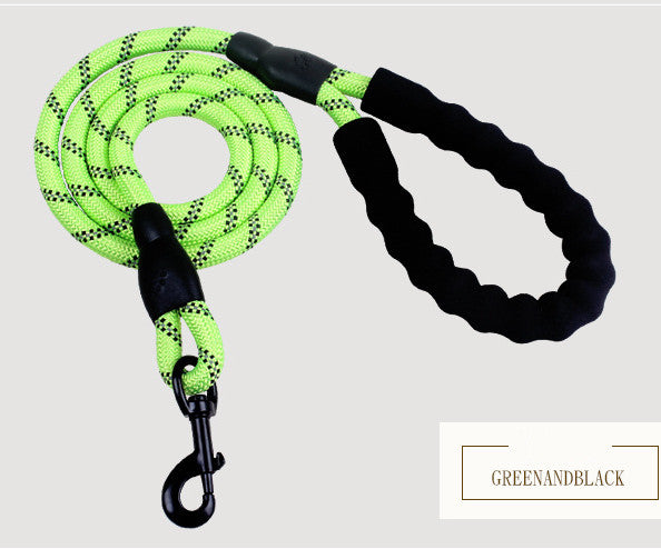 Reflective Nylon Dog Leash - Green