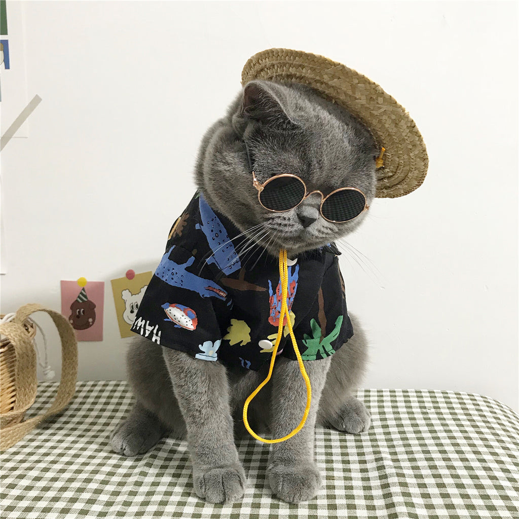 Summer Cat Shirt with Accessory Set