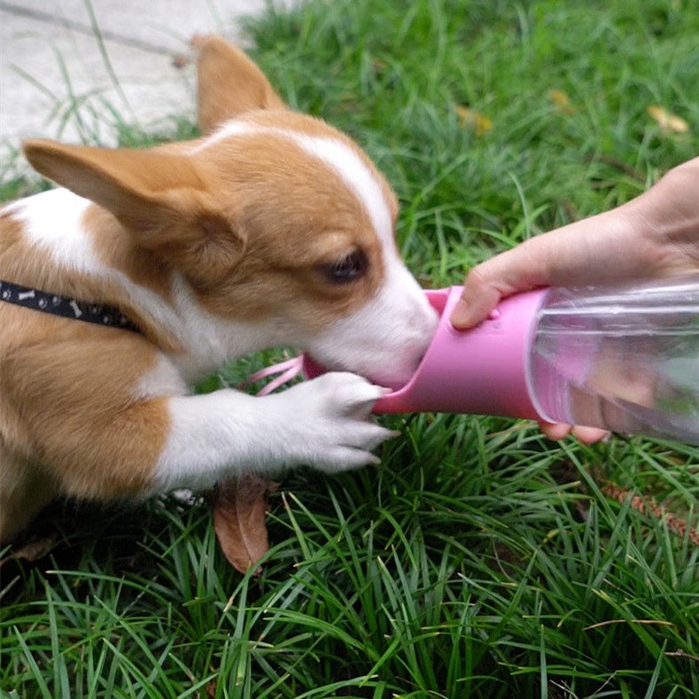Clear Dog Travel Water Bottle