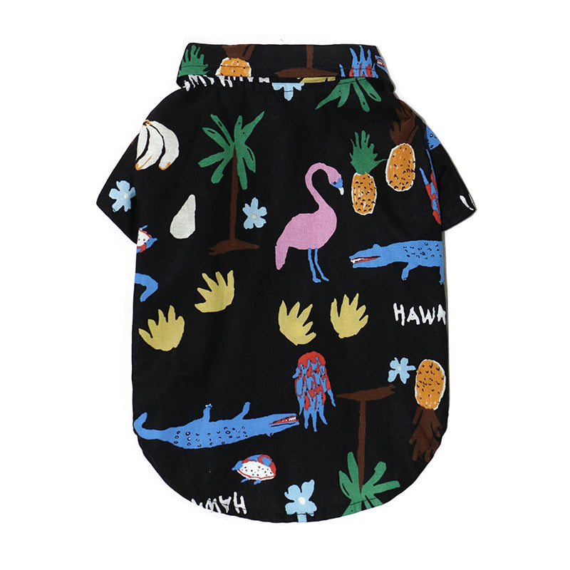 Summer Cat Shirt with Accessory Set