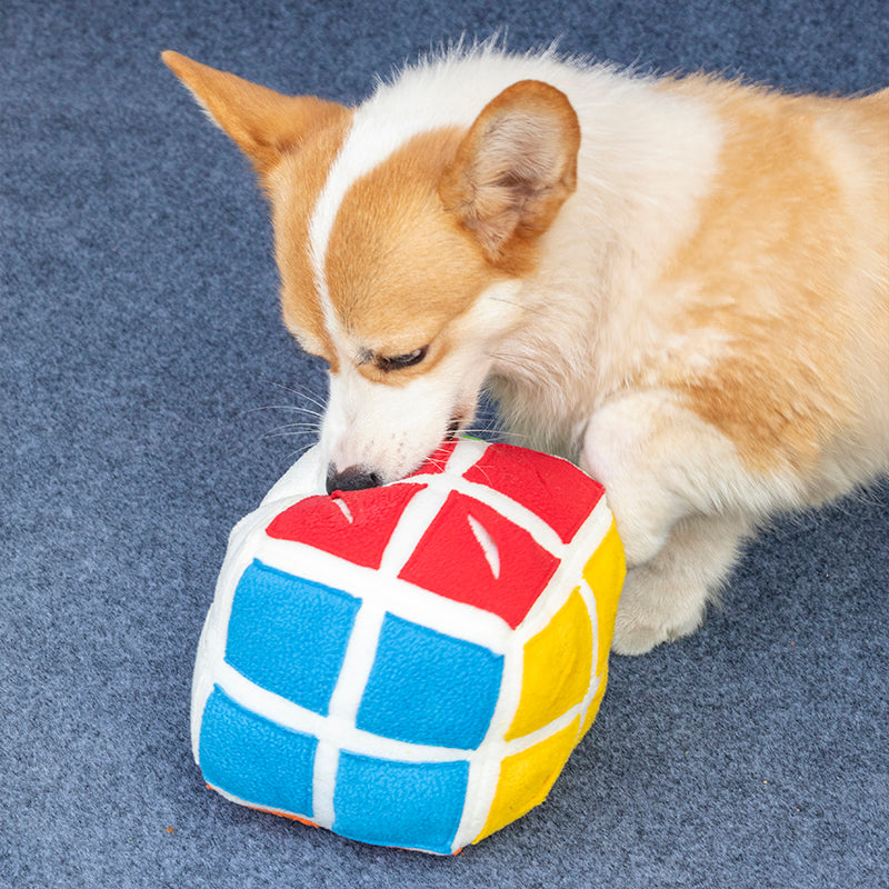 Cube Snuffle Toy for Dogs and Cats