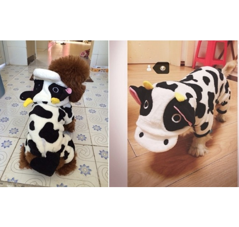 Cow Hooded Pet Sweatshirt