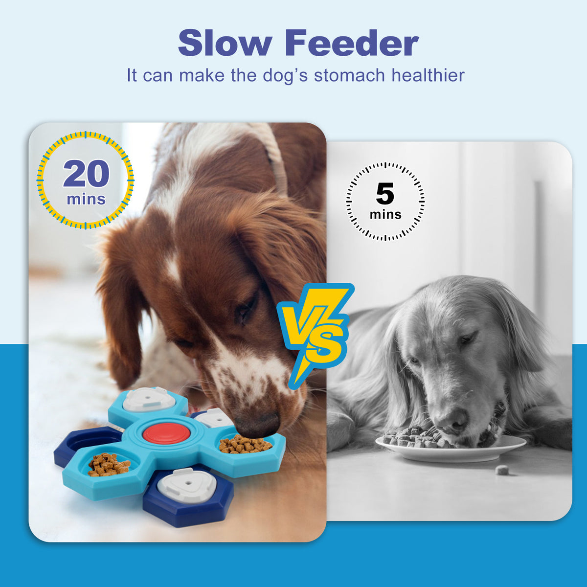 4-Layer Slow Feeder Puzzle Bowl
