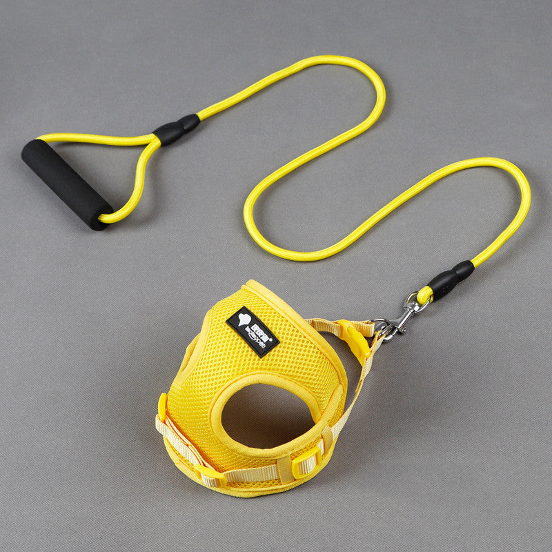 Mesh Dog Harness and Leash Set