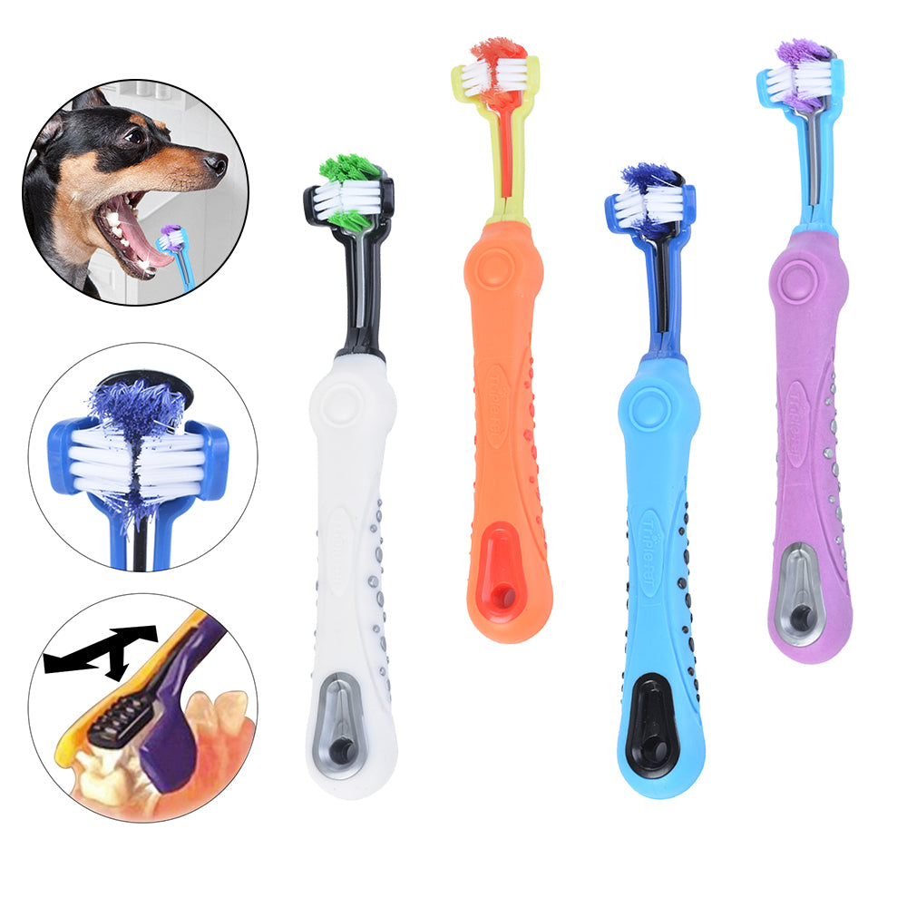 Three-Sided Dog Toothbrush