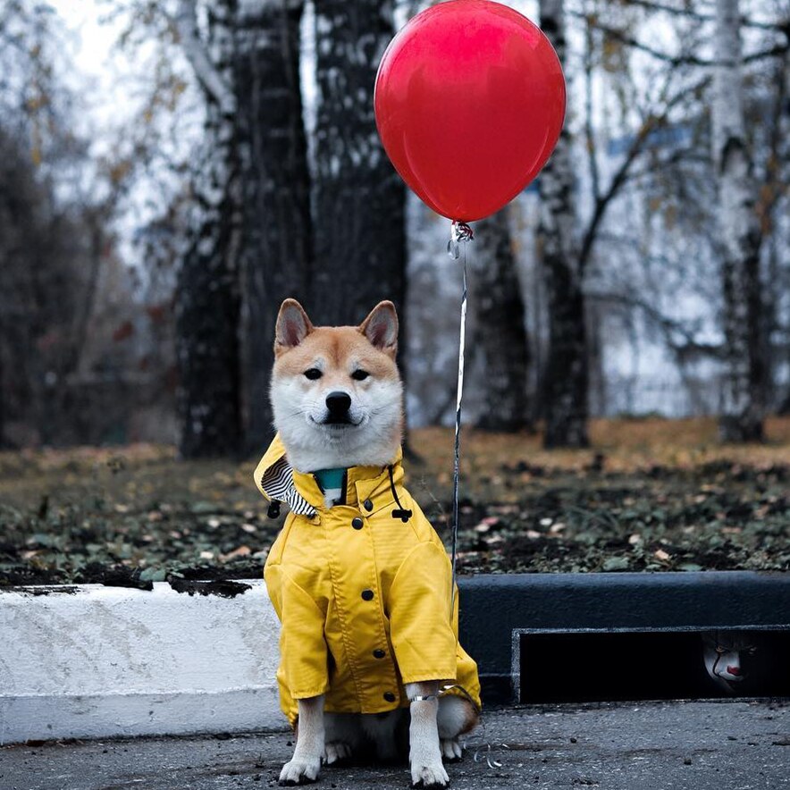 Classic Yellow Dog Raincoat