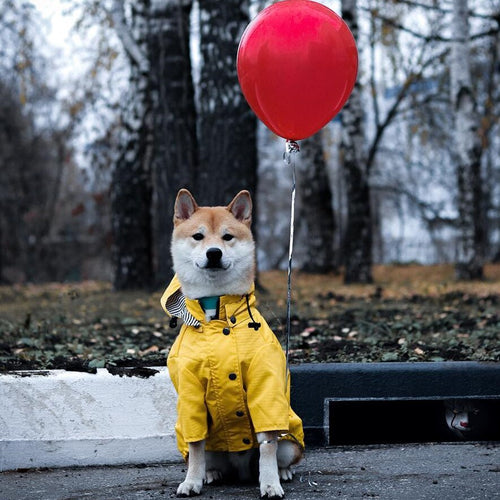 Classic Yellow Dog Raincoat