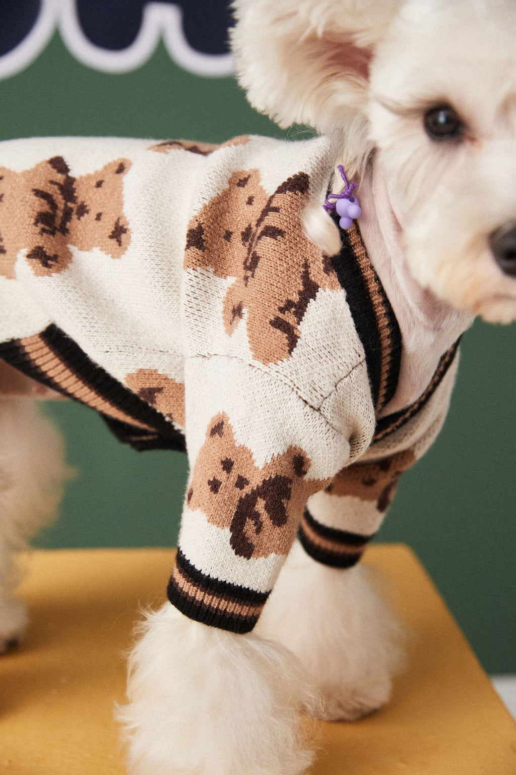Knit Pet Sweater with Leash Hole