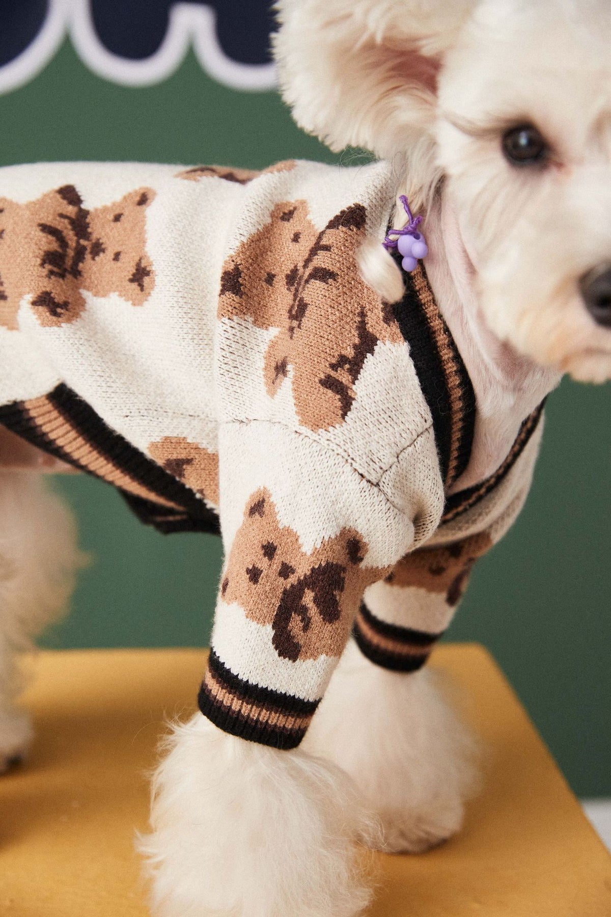 Knit Pet Sweater with Leash Hole