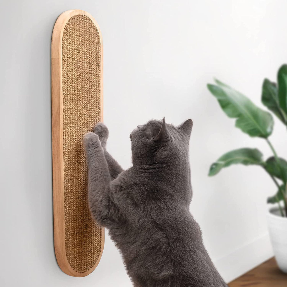 Wall-Mounted Sisal Scratch Board