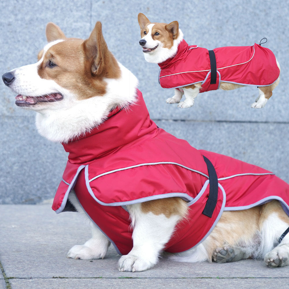 Warm Dog Shell Jacket