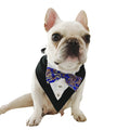 Printed Triangle Pet Bandana