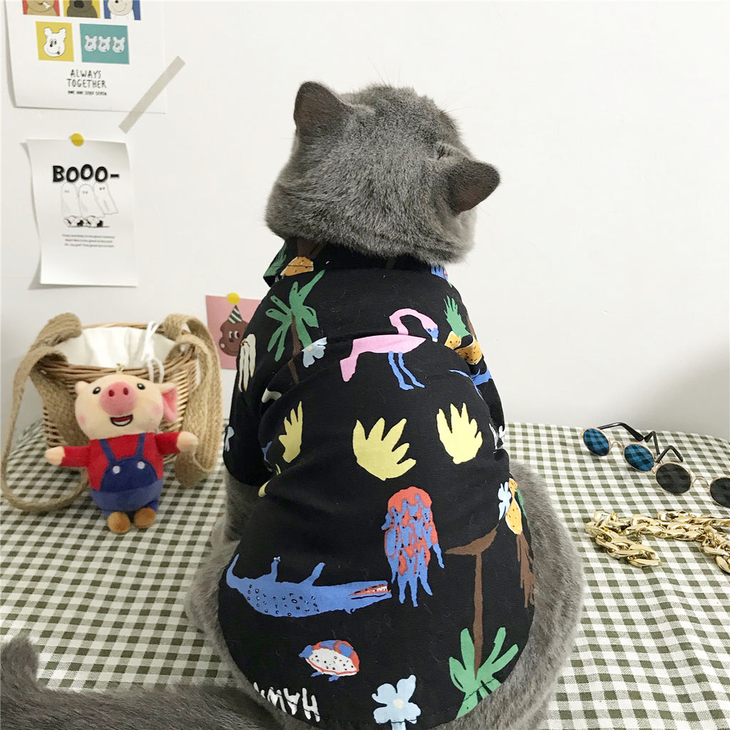 Summer Cat Shirt with Accessory Set
