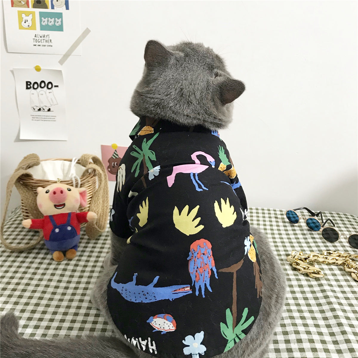 Summer Cat Shirt with Accessory Set