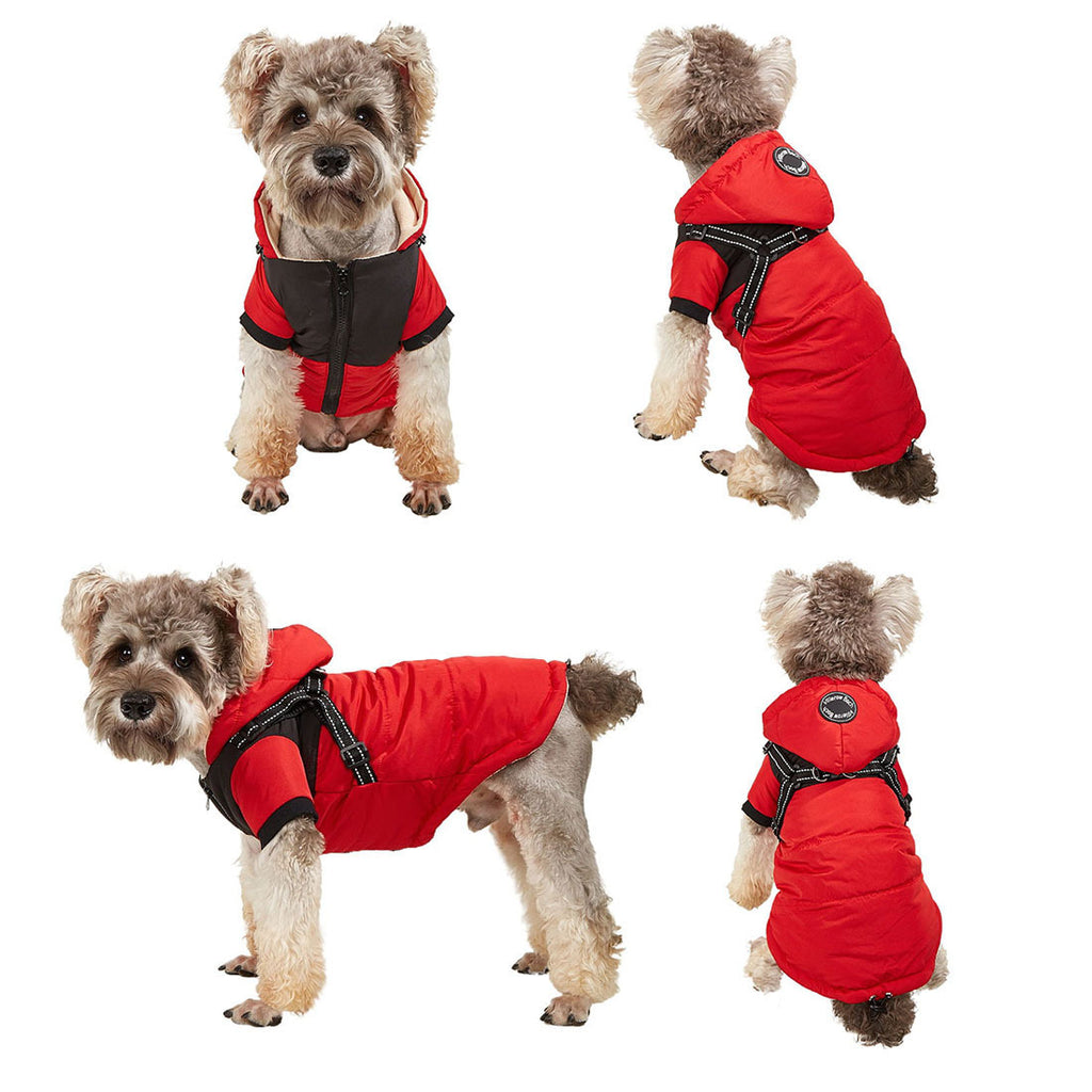 Velvet Dog Shell Jacket
