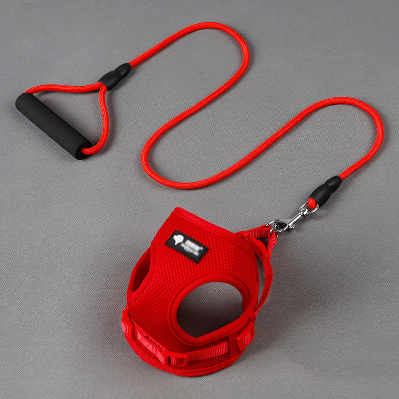 Mesh Dog Harness and Leash Set