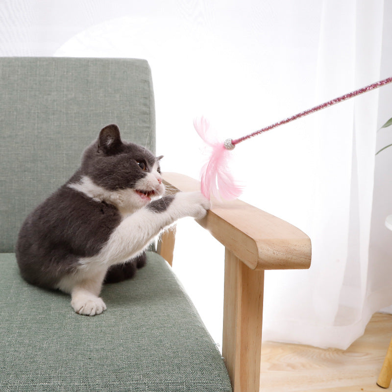 Feather Cat Wand Set (3 Pieces)