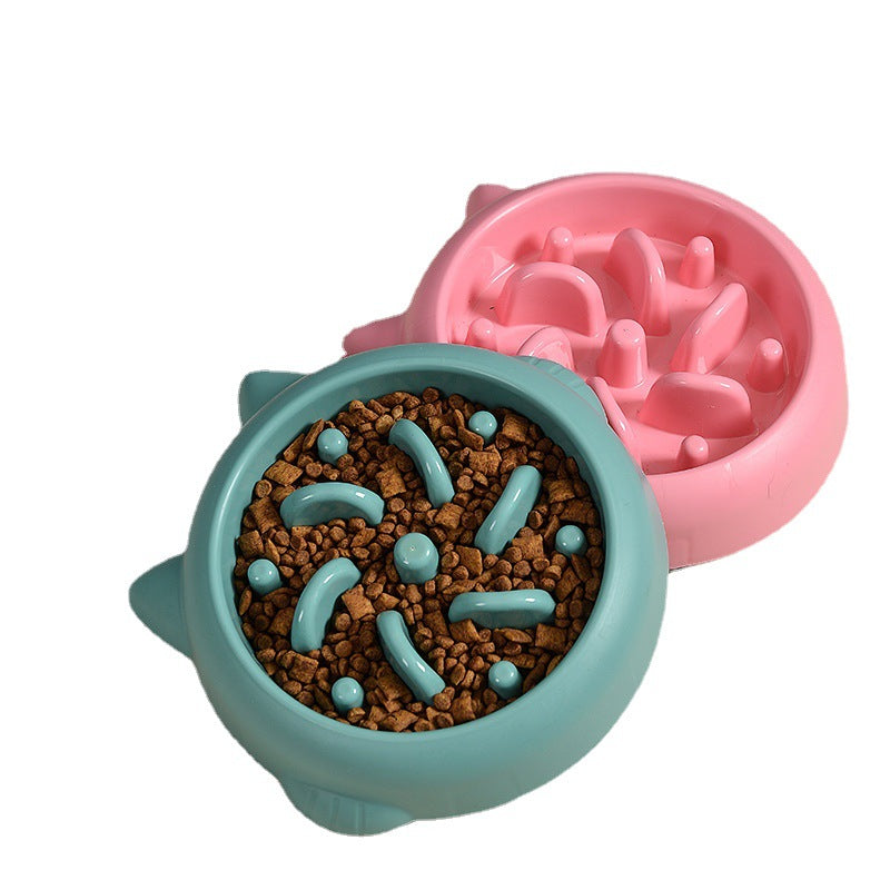 Slow Feeder Bowl filled with dry food