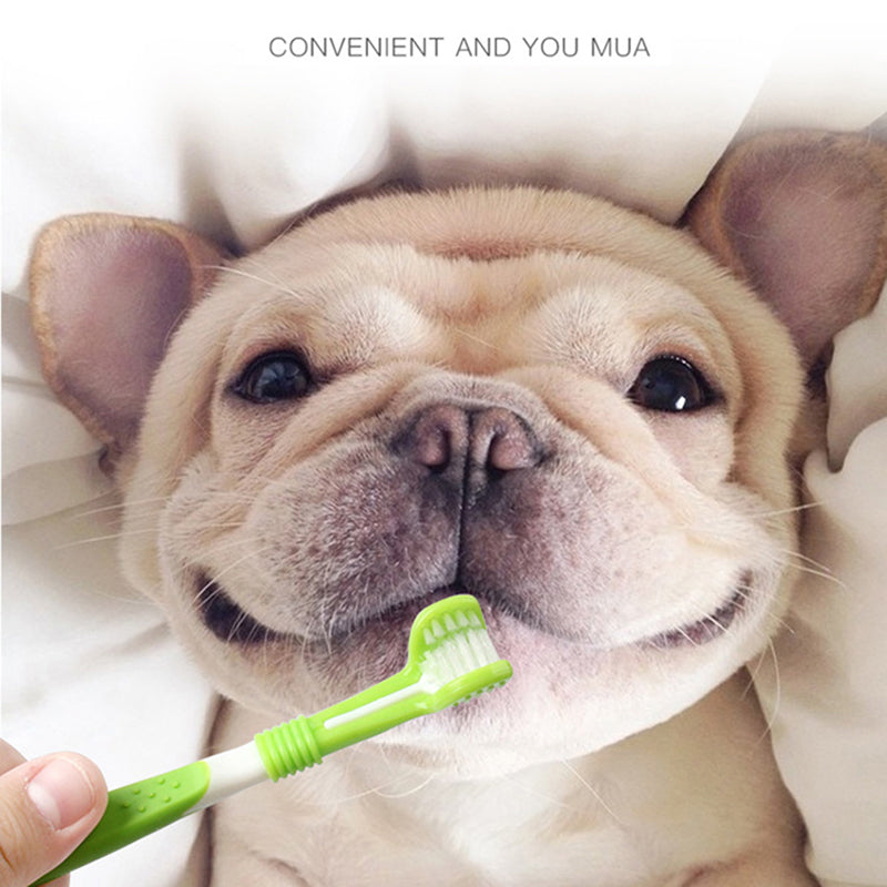 Dog Toothbrush Set