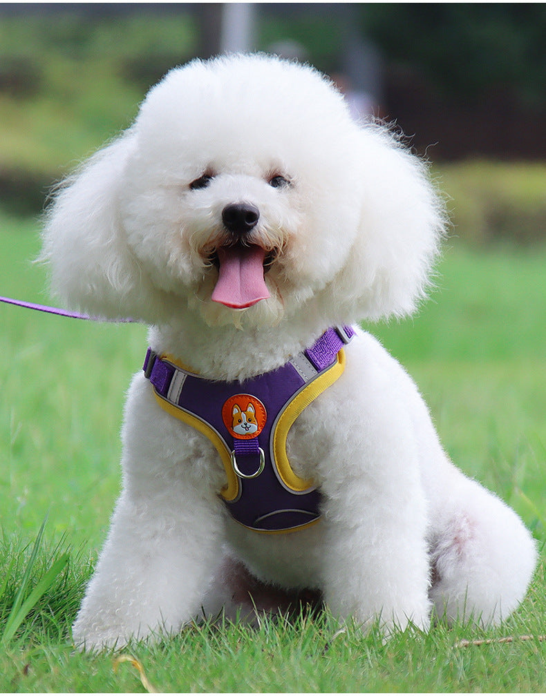 Reflective Soft Harness and Leash Set