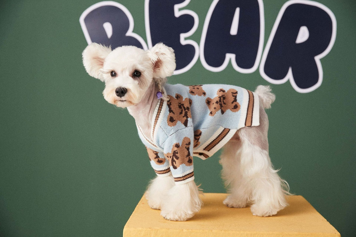 Knit Pet Sweater with Leash Hole
