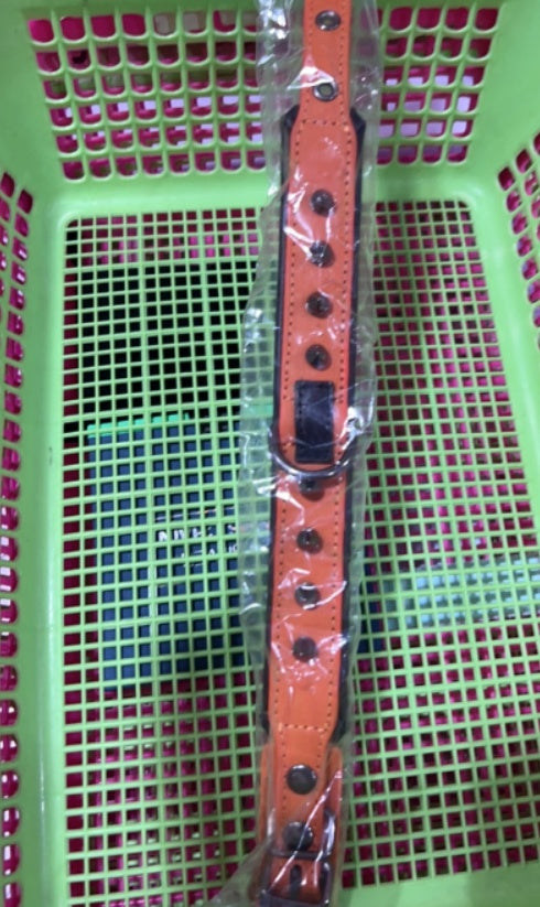 Riveted Leather Dog Collar - Orange / L