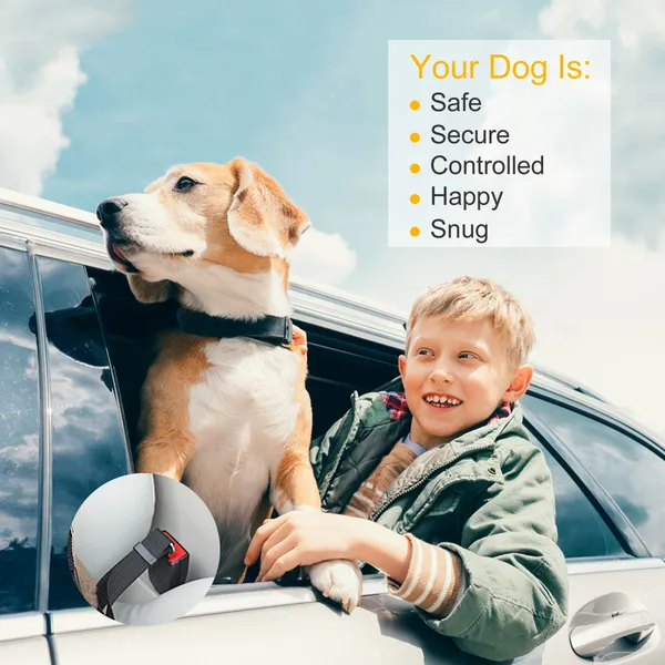 Pet Car Seat Belt Tether 2-Pack