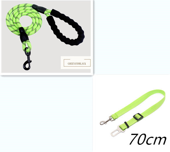 Reflective Nylon Dog Leash - Green set