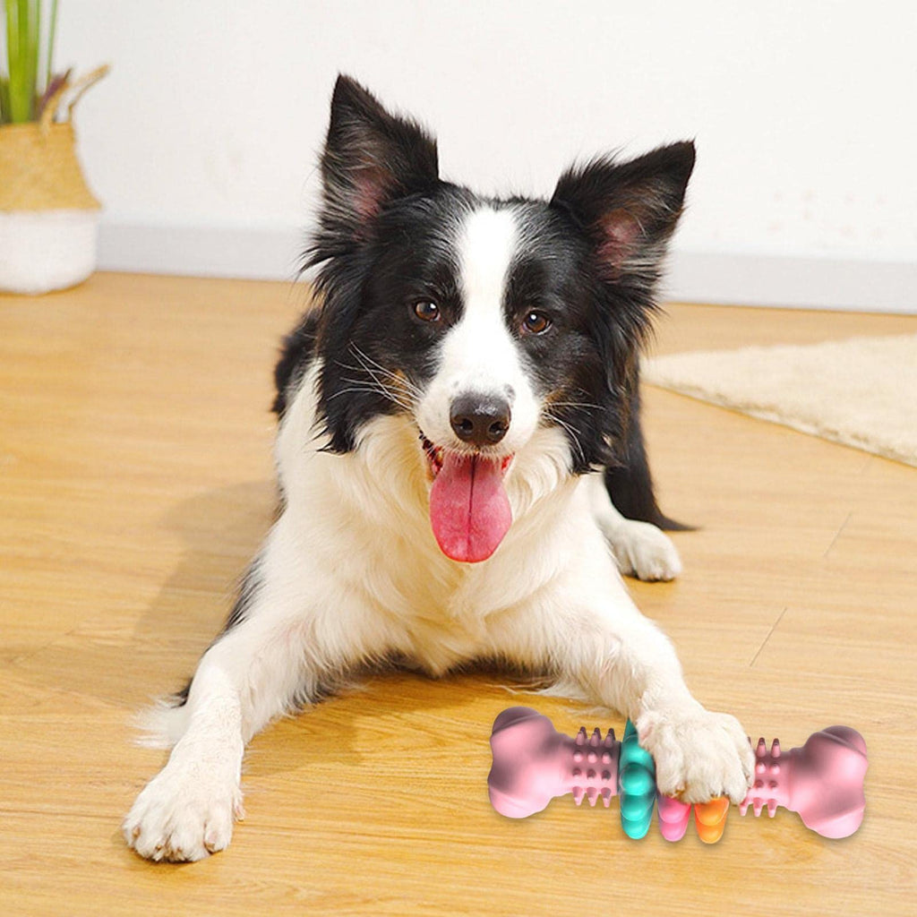 Bone-Shaped TPR Chew Toy for Dogs