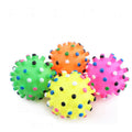 Vinyl Play Toy for Dogs and Cats