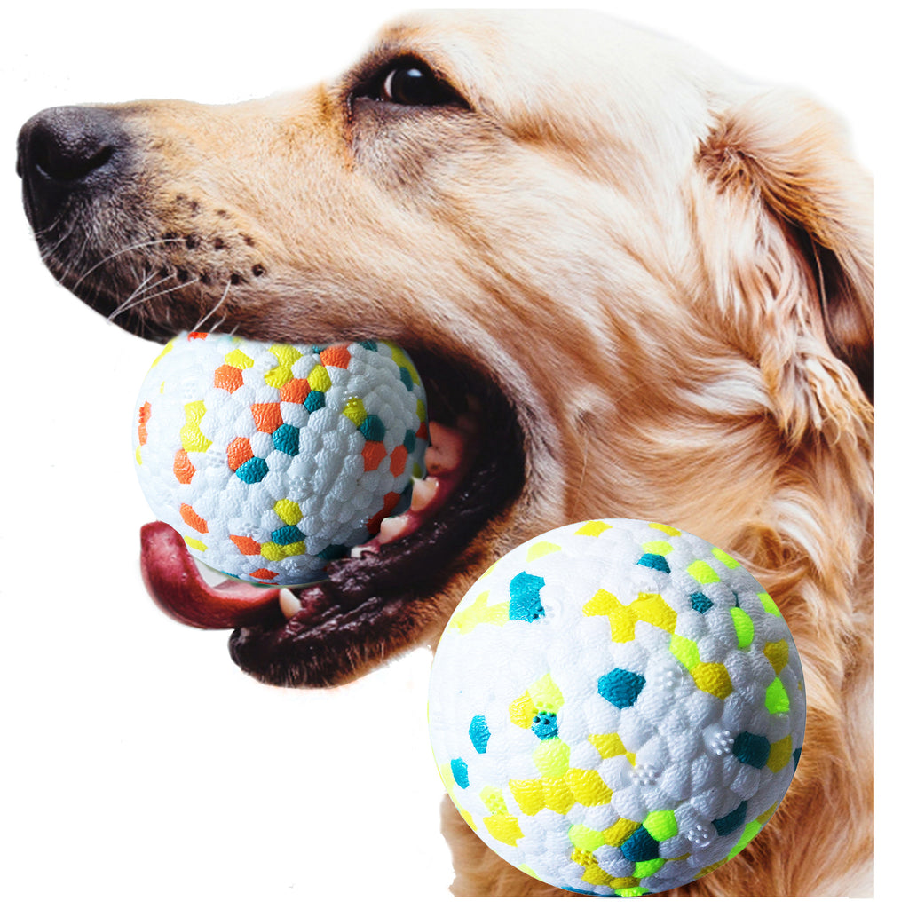 Solid Elastic Play Ball for Dogs