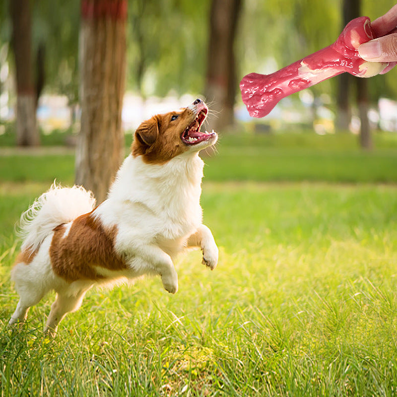 Rubber Bone Chew Toy